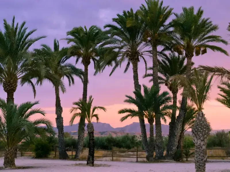 Los Baños de Fortuna